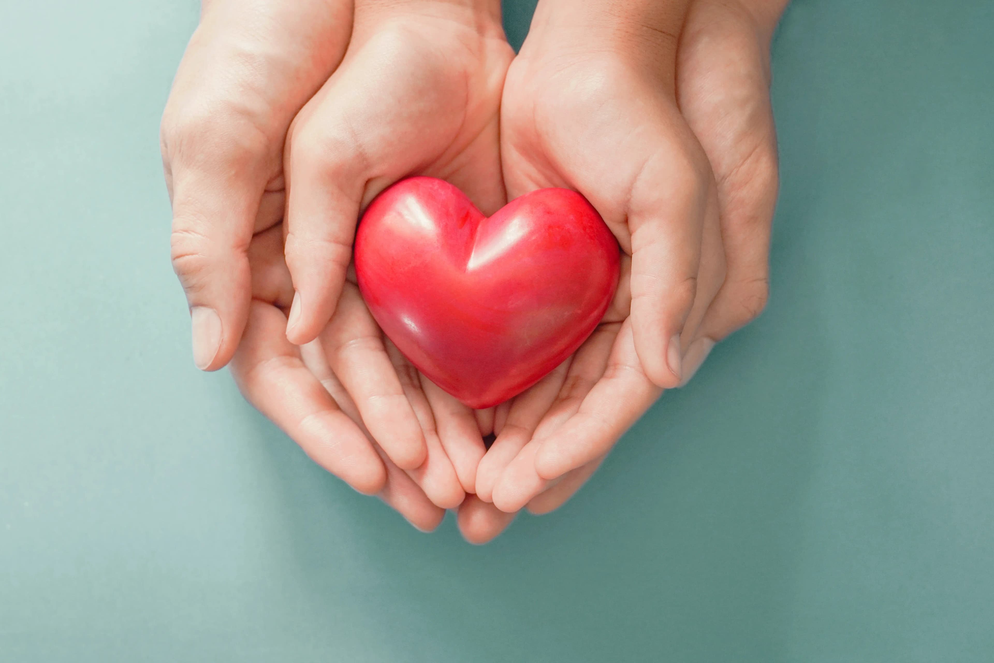 Hands holding a red heart